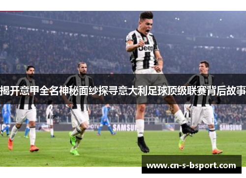 揭开意甲全名神秘面纱探寻意大利足球顶级联赛背后故事