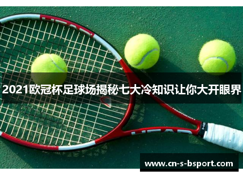 2021欧冠杯足球场揭秘七大冷知识让你大开眼界