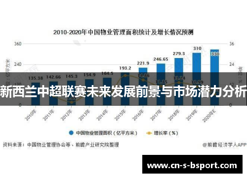 新西兰中超联赛未来发展前景与市场潜力分析