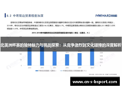 北美洲杯赛的独特魅力与挑战探索：从竞争激烈到文化碰撞的深度解析